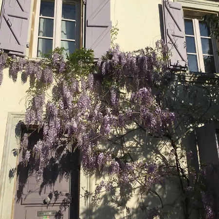 Konukevi Lilas-rose *