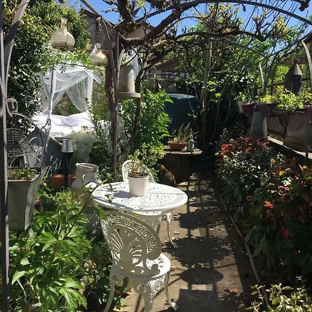 Konukevi Lilas-rose Figeac